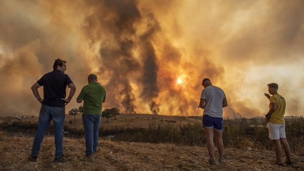 Incendio forestal en la Sierra de Huelva: el perímetro del fuego roza ya las 4.500 hectáreas y avanza hacia el sur