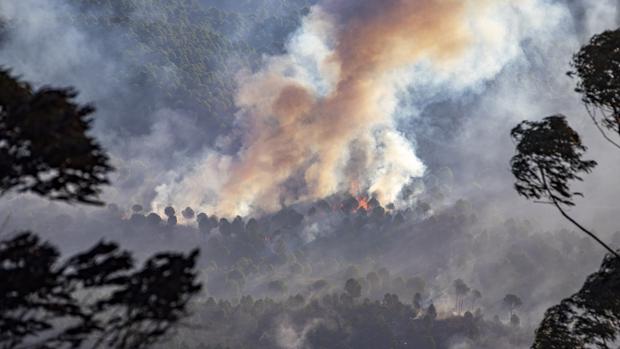 Incendio forestal Almonaster: el fuego sigue sin control con tres focos activos avivados por el viento