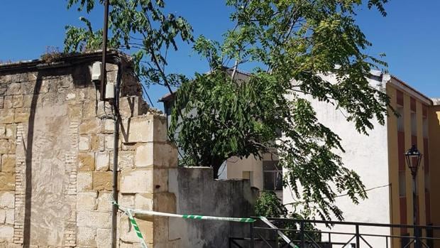 Fallece un jardinero municipal de Villanueva del Arzobispo al aplastarle el pecho el árbol que cortaba