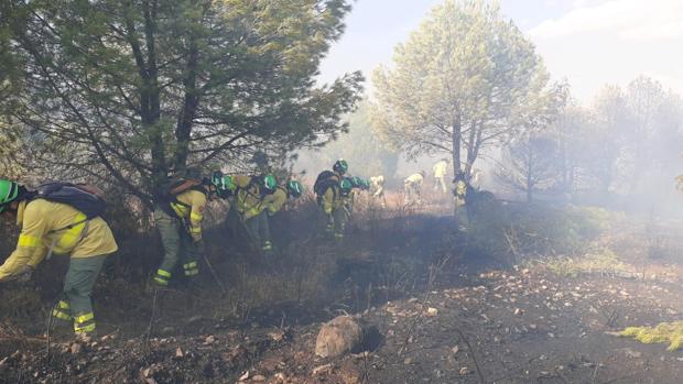 Declarado un incendio en la localidad onubense de  Cabezas Rubias