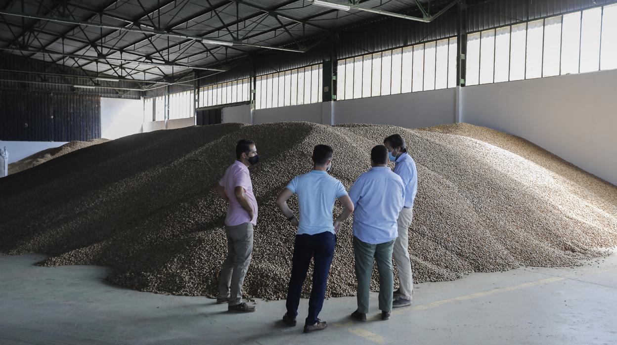 Una nave de procesado de almendras