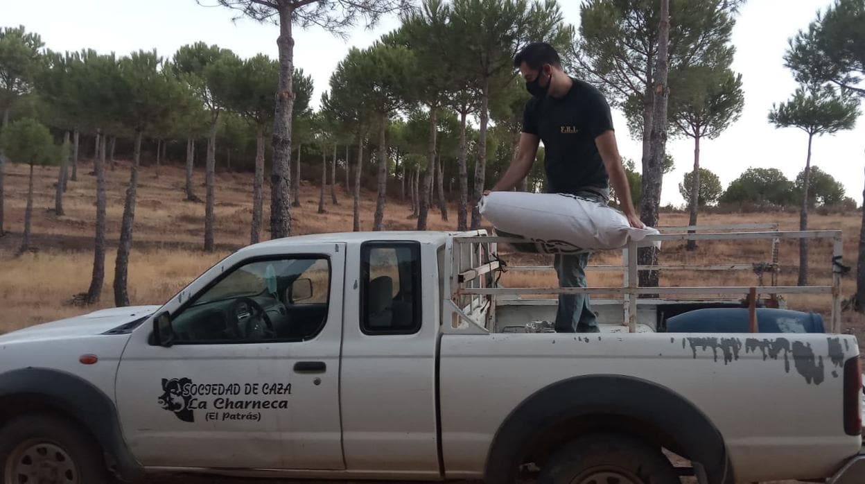 Un cazador descarga pineso de un camión para los animales