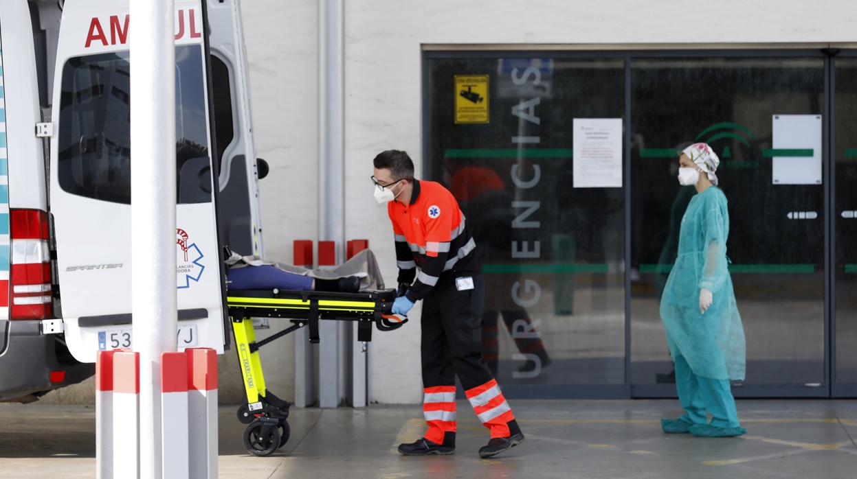 Profesionales sanitarios realizan un ingreso en las Urgencias del Hospital Reina Sofía