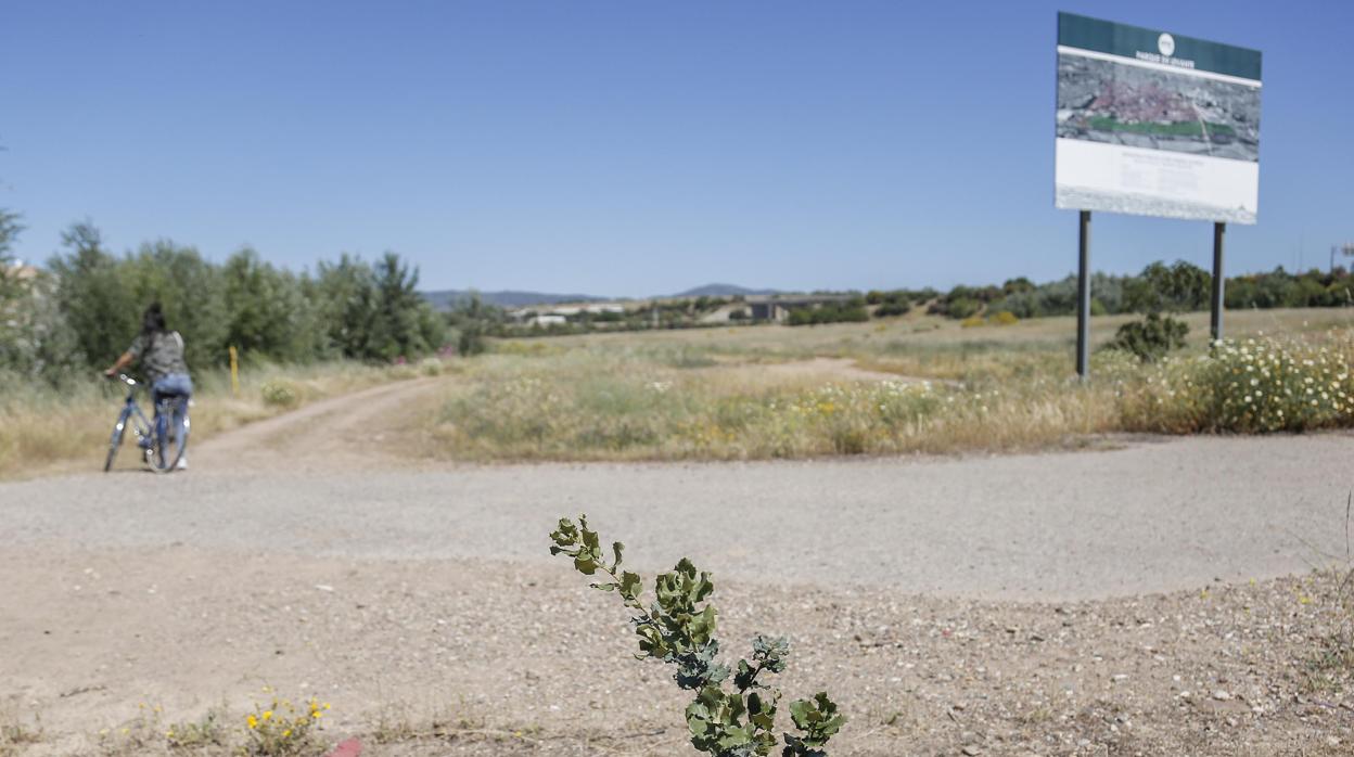 Una mujer con una bici en el terreno reservado para el parque industrial de Levante