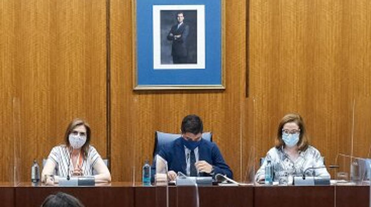 Imagen de la sesión celebrada este viernes en la comisión parlamentaria