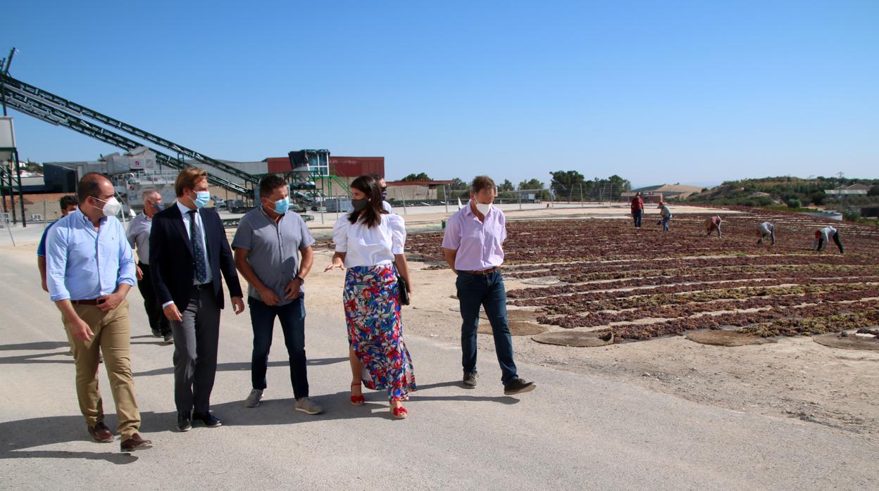 El delegado del Gobierno, Antonio Repullo y la responsable de Agricultura, Araceli Cabello, en una finca viticultora