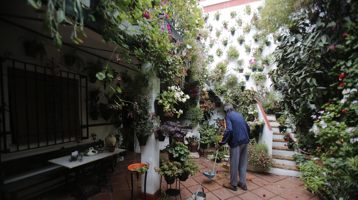 Preparativos en un patio de Córdoba