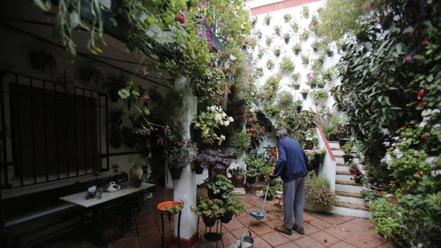 El Ayuntamiento diseña unos Patios de otoño con público mayoritariamente cordobés