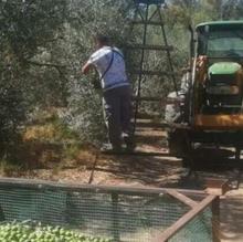 Coronavirus Andalucía: sigue la última hora del Covid-19