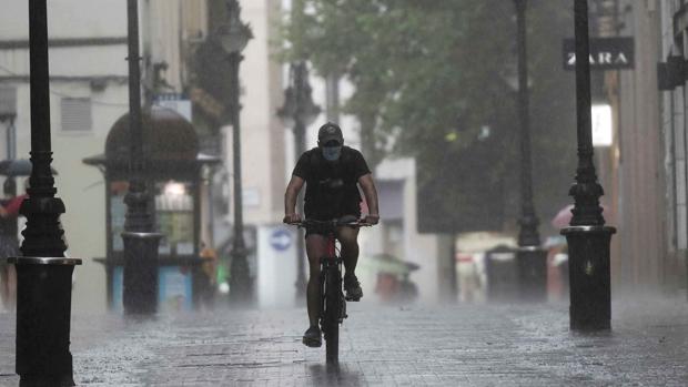 ¿Qué te parece que el Ayuntamiento de Córdoba quiera sacar a bicis y patinetes de las calles peatonales?