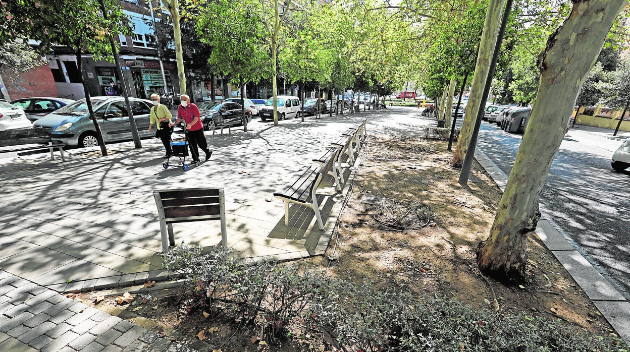 Hierbas, en el bulevar de Gran Vía Parque, en Ciudad Jardín