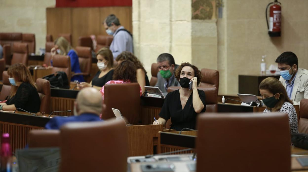 Los diputados durante la sesión plenaria de este viernes en el Parlamento de Andalucía