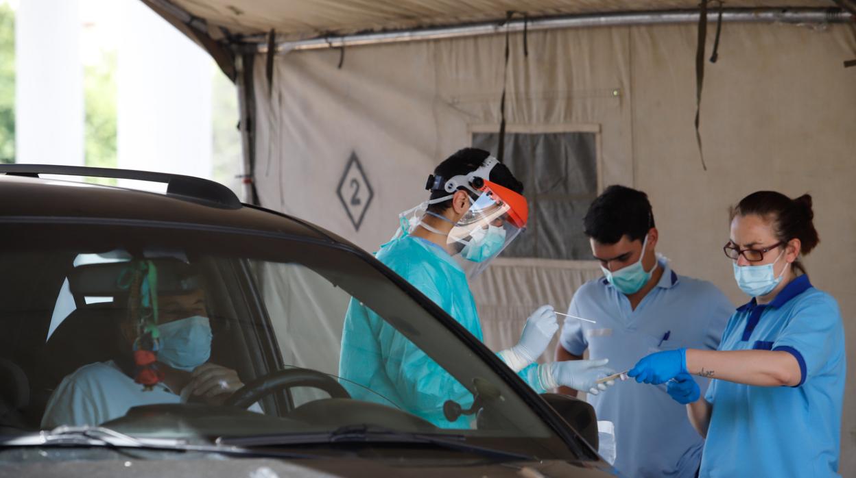 Los sanitarios realizando pruebas PCR en la ciudad de Córdoba