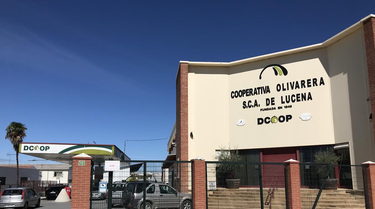 Entrada de la cooperativa olivarera de Lucena