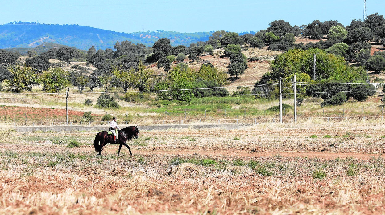 Terrenos de la Cerca de Lagartijo, en la zona oriental de Córdoba