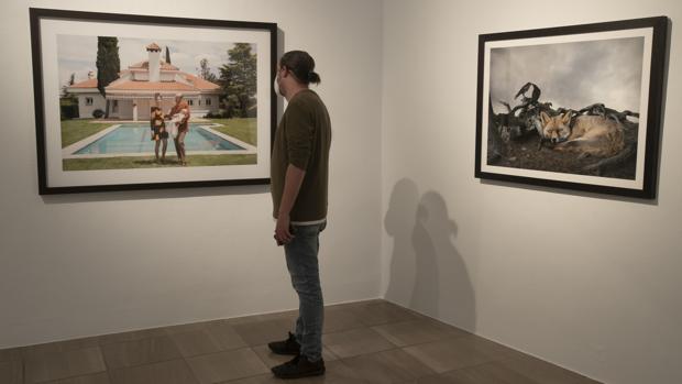 Flamenco en el Café Málaga y exposiciones en Córdoba para el 7 de octubre