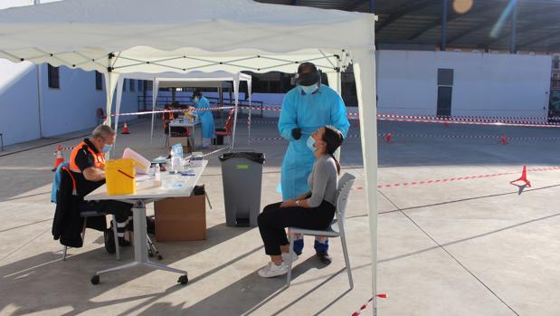Cribado en Palma del Río | Solo 2 positivos por coronavirus en 412 pruebas