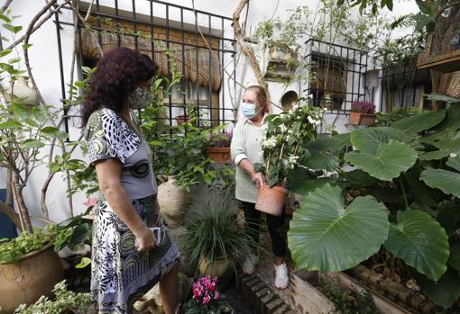 La propietaria del patio de la calle Tafures muestra una flor a una visitante