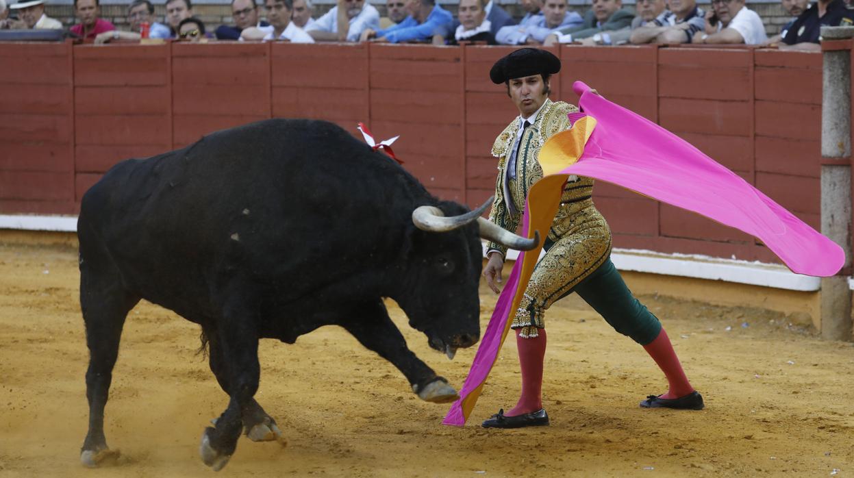 Morante de la Puebla, en la Feria de Córdoba de 2019