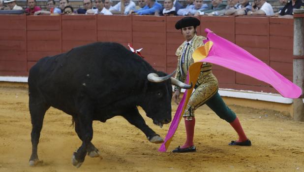 Mano a mano de Morante de la Puebla y Juan Ortega en la Plaza de Toros de Córdoba