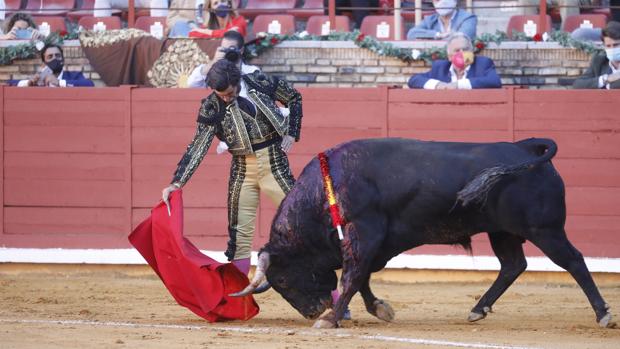 Morante y Juan Ortega se van de vacío en la vuelta de los toros al coso de Los Califas en Córdoba