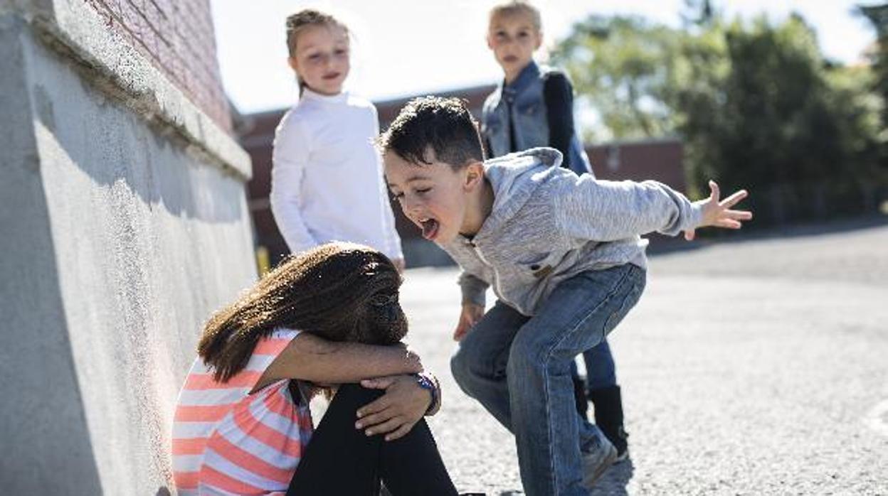 «Algo pasa con el acoso escolar cuando quien se tiene que ir del colegio es la víctima y no el acosador»