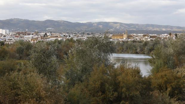 El Ayuntamiento de Córdoba quiere plantear a la Confederación Hidrográfica otra limpieza del río