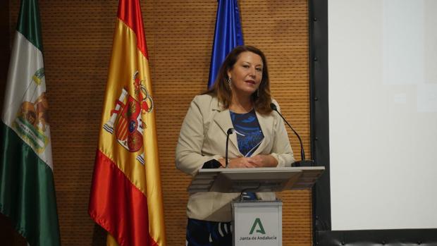 Andalucía producirá 1,4 millones de toneladas de aceite de oliva, la mitad más que la pasada campaña