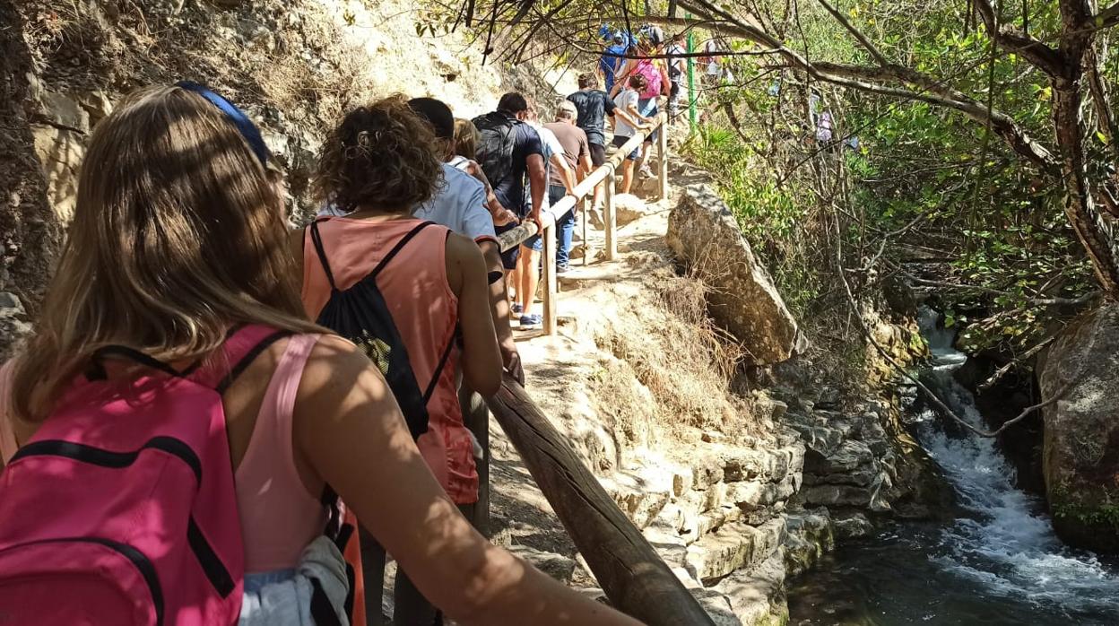 El sendero del rio Majaceite en el municipio gaditado de El Bosque el pasado puente del Pilar