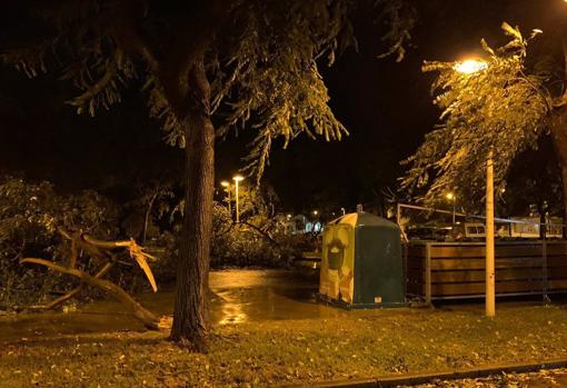 Daños en Cartaya por el temporal