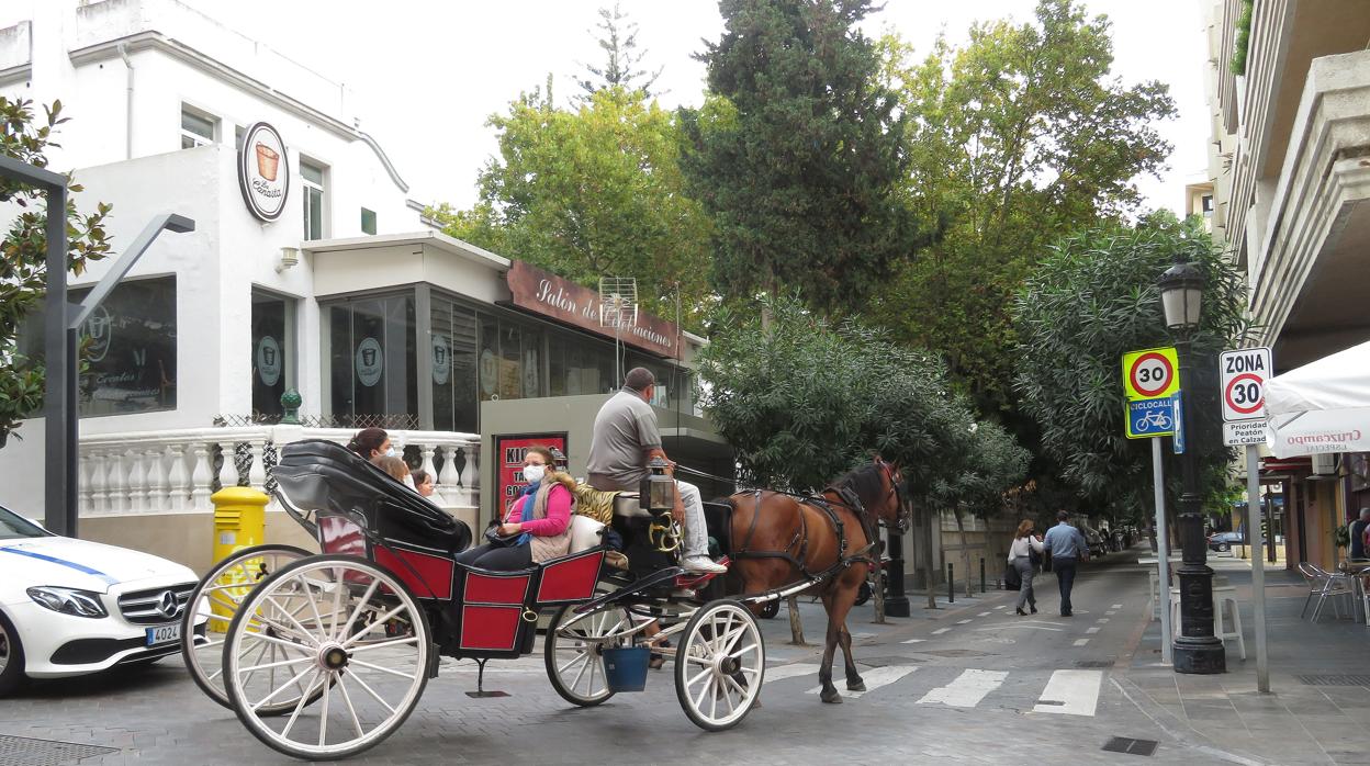 Uno de los coches de caballos de Marbella