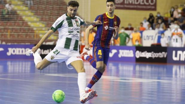 Córdoba Patrimonio-Palma Futsal | Otro coloso por Vista Alegre para confirmar las buenas sensaciones