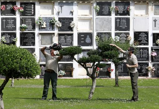 Día de Todos los Santos | Todo lo que necesita saber para ir a los cementerios de Córdoba