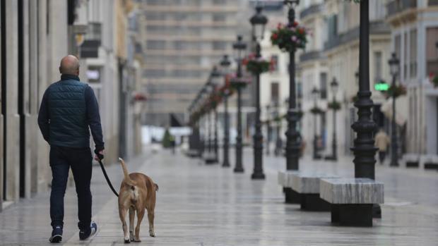 Málaga y Cádiz, las dos capitales andaluzas con menos contagios por habitante