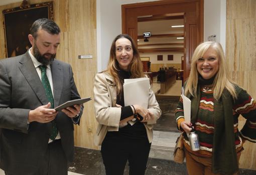 Los dos ediles de Vox junto a la portavoz de Podemos, antes del Pleno de enero