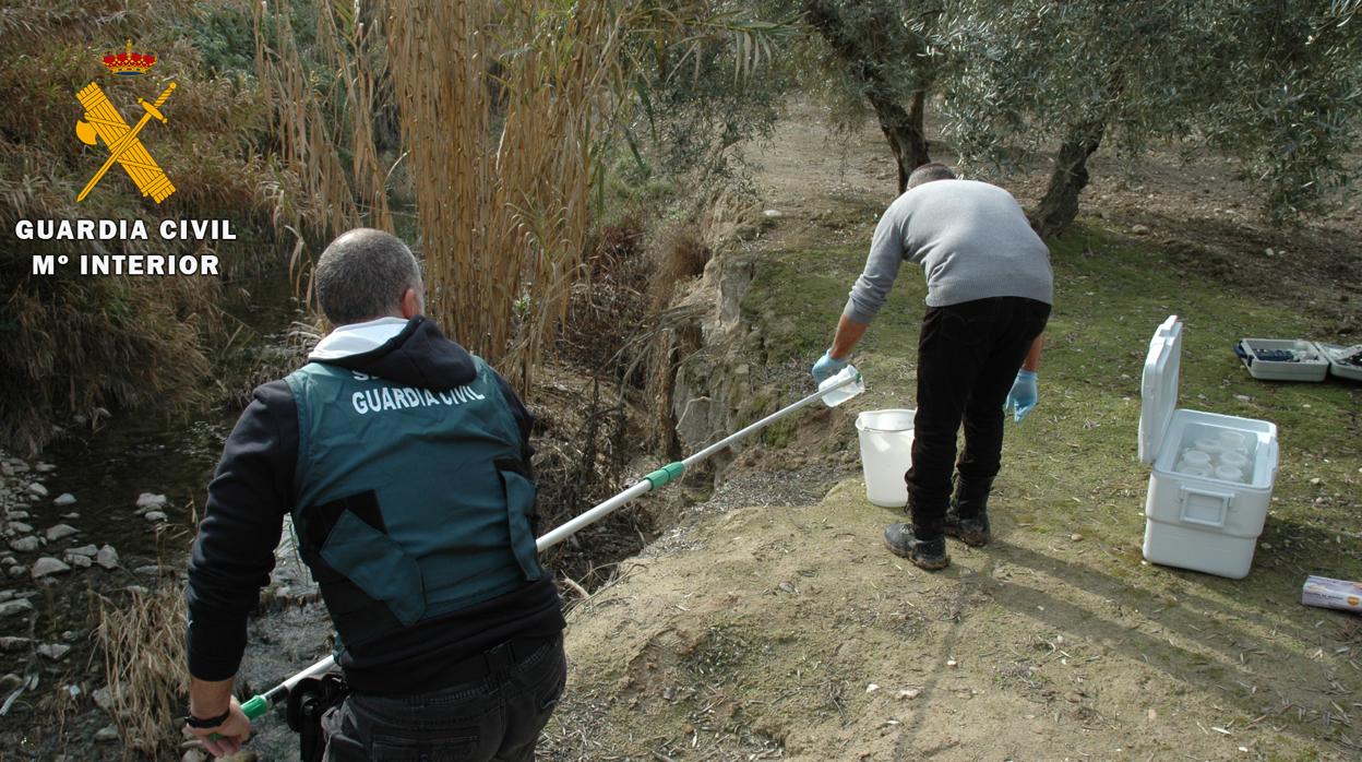 La Guardia Civil en la recogida de muestras del vertido de Pedro Abad en junio de 2017