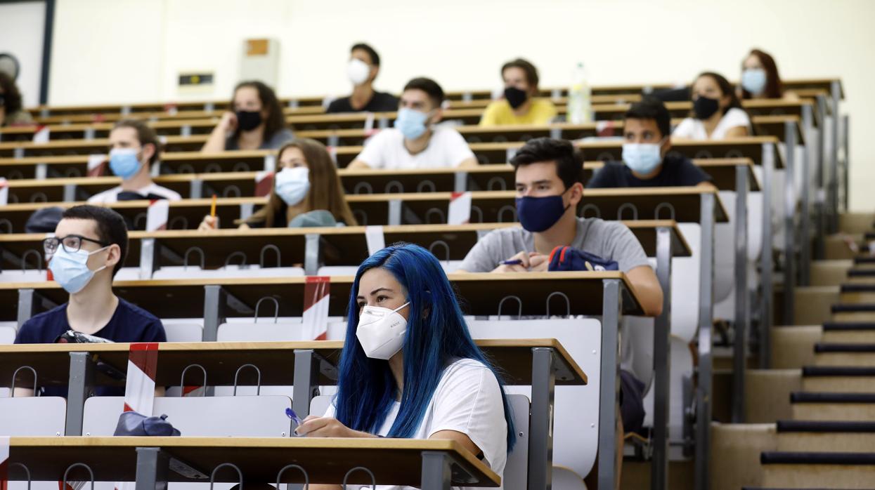 Alumnos de la Universidad de Córdoba en este curso