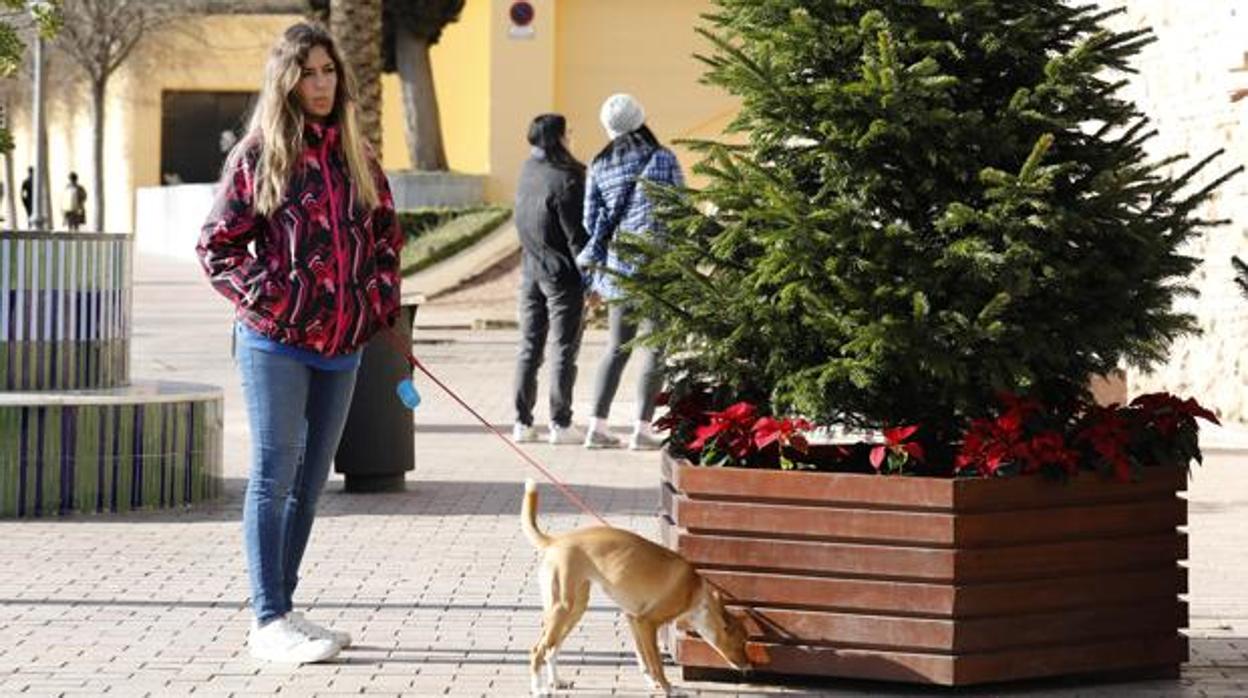 Una joven pasea a su perro bajo el sol