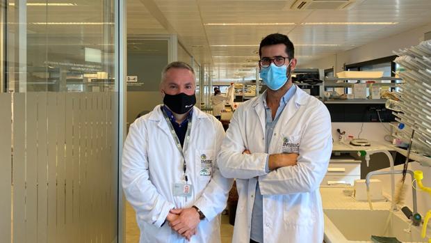 Investigadores del Imibic de Córdoba hallan una nueva vía terapéutica para el tumor cerebral más agresivo