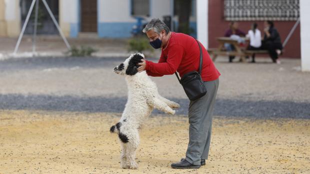 La Aemet prevé un domingo en Córdoba sin lluvias