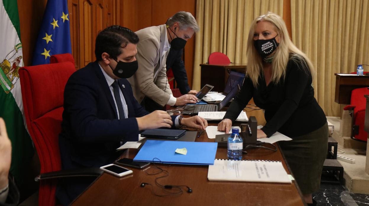 Imagen del Pleno celebrado hoy en el Ayuntamiento de Córdoba