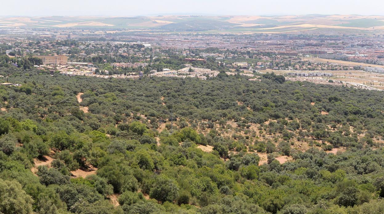 Suelos del Patriarca, en los que Urbanismo actuará para su puesta en valor