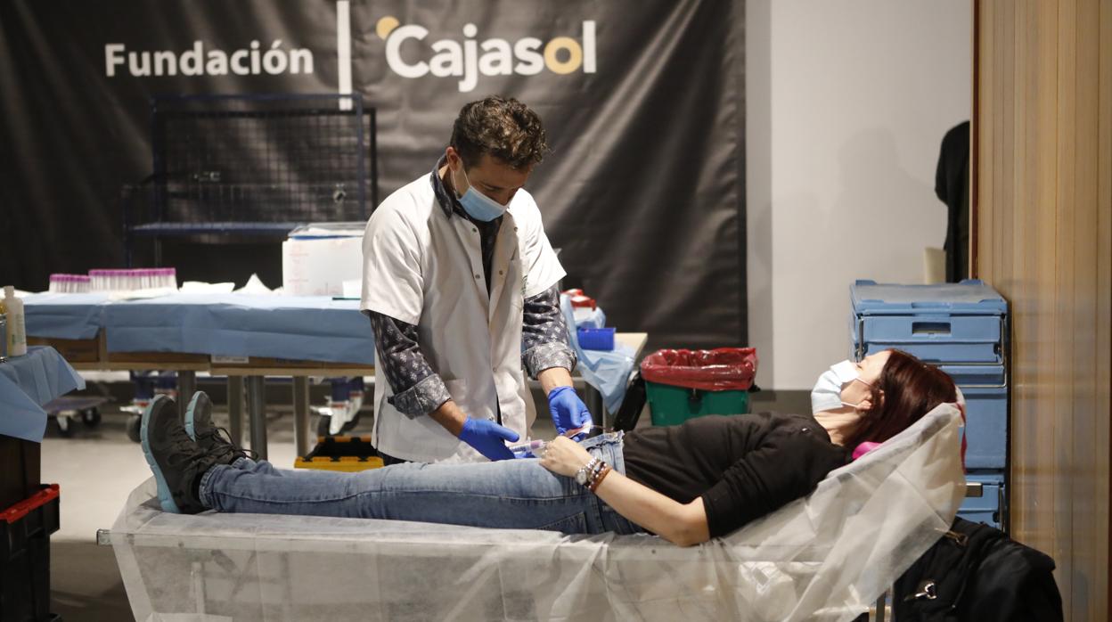 Una mujer, en el momento de donar sangre en la Fundación Cajasol en Córdoba