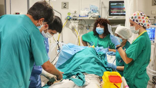 Bajan las hospitalizaciones, los positivos y los fallecidos en las últimas 24 horas