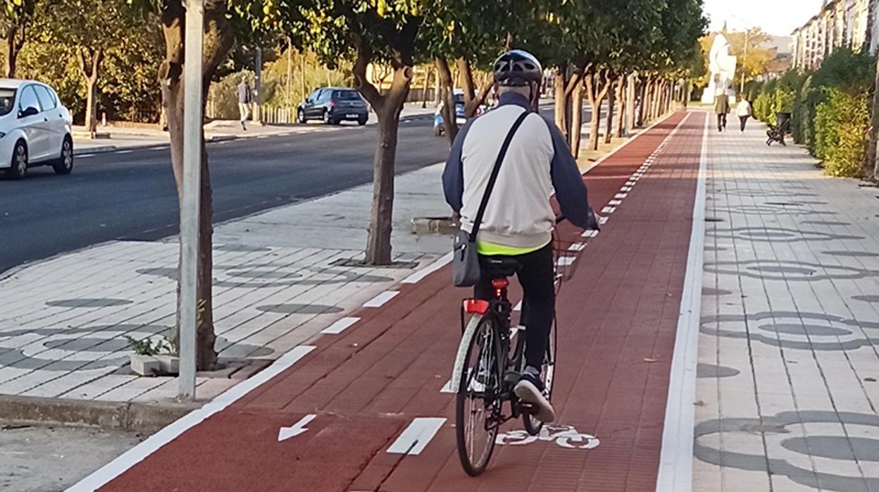 Un carril bici en Palma del Río