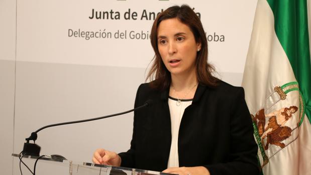 La Junta de Andalucía exige en Córdoba al Gobierno el tren de la línea de Bobadilla