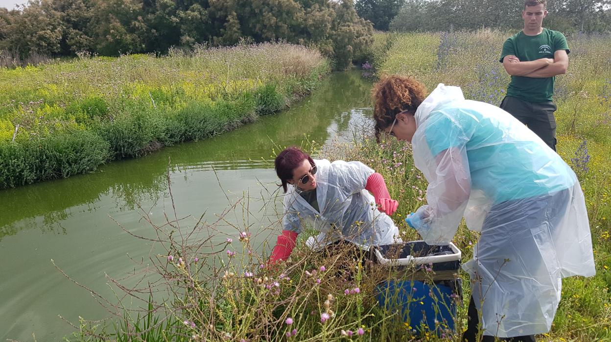 Miembros del departamento de Ecología de la Universidad de Granada en una laguna