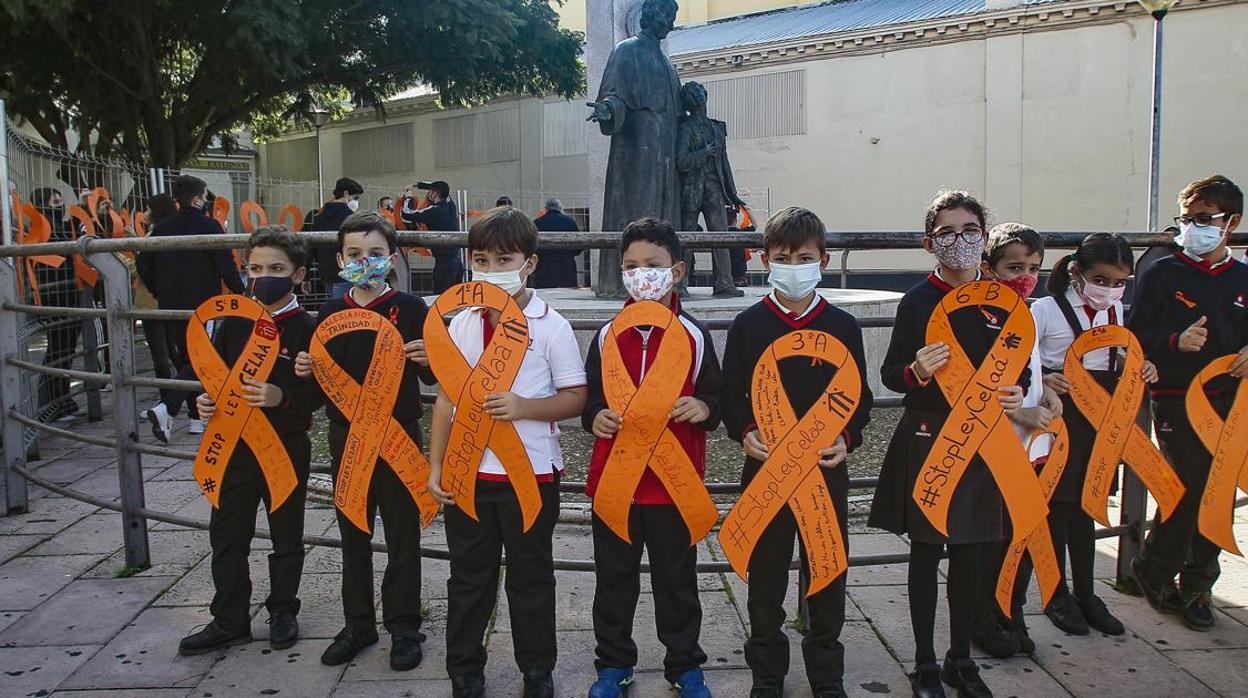 Concentración de niños y profesores contra la polémica ley en Sevilla