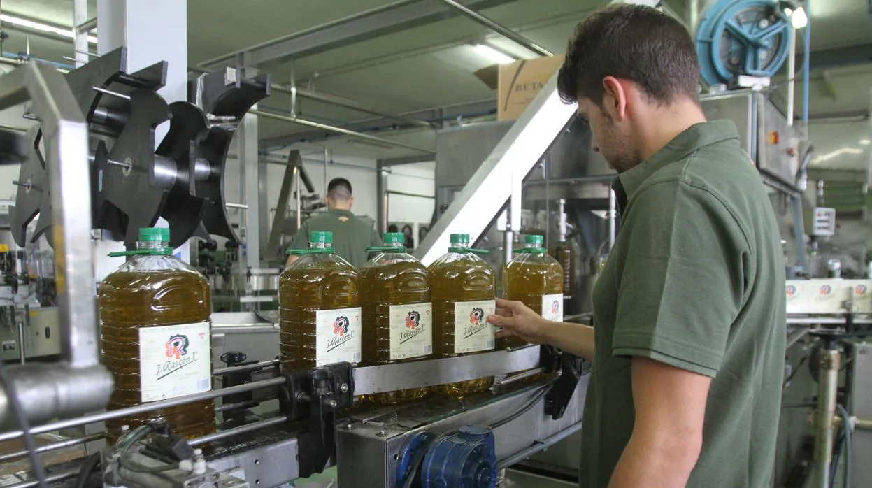 Las exportaciones de aceite oliva de Córdoba han sufrido un acusado descenso en este 2020