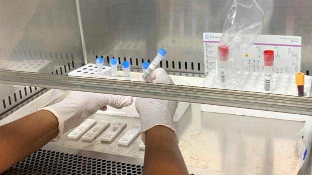 La demanda de test para las navidades se multiplica en Córdoba | ¿Hay que repetirlo para Nochevieja?